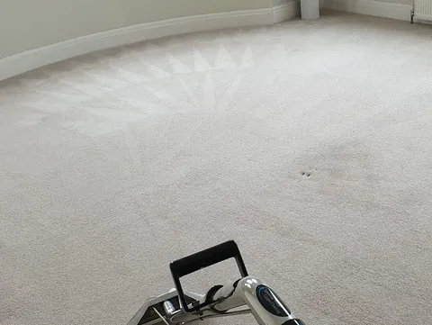 Sparkling White Carpet Cleaning Ltd - Carpet Cleaning Plymouth