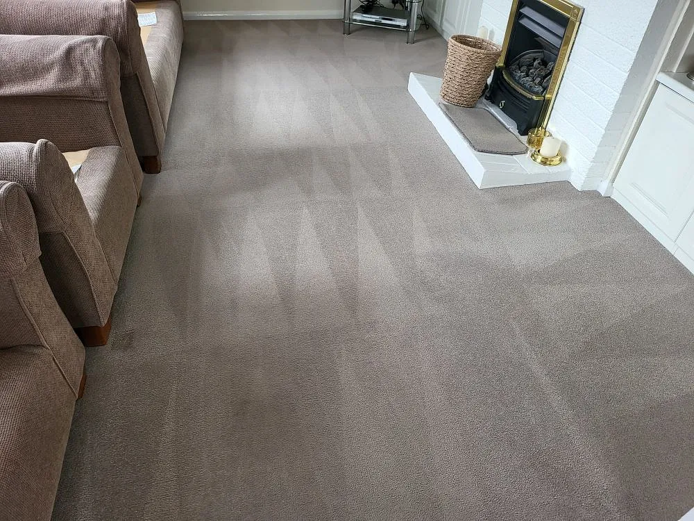 Domestic carpet cleaning plymouth