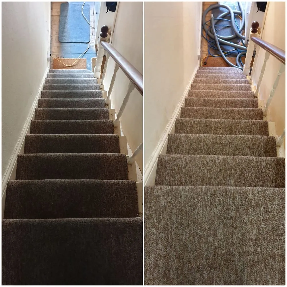 Domestic carpet cleaning plymouth