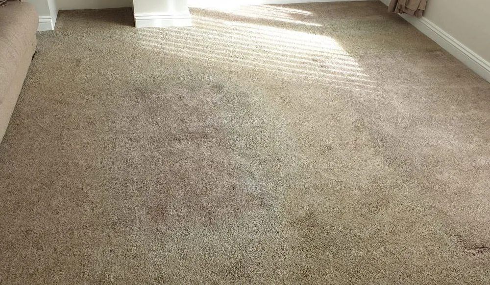 Domestic carpet cleaning plymouth