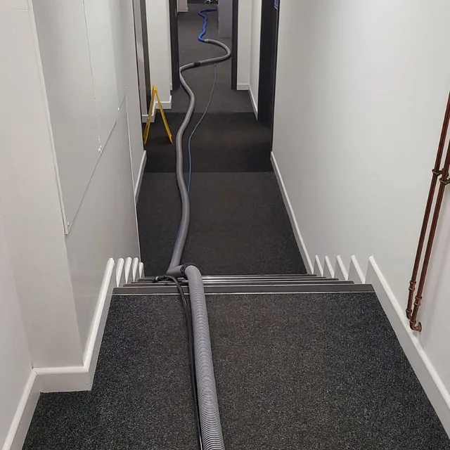 Commercial carpet cleaning Plymouth