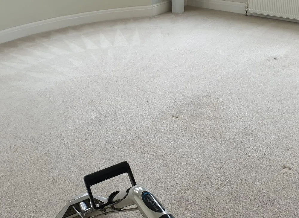 Domestic carpet cleaning plymouth