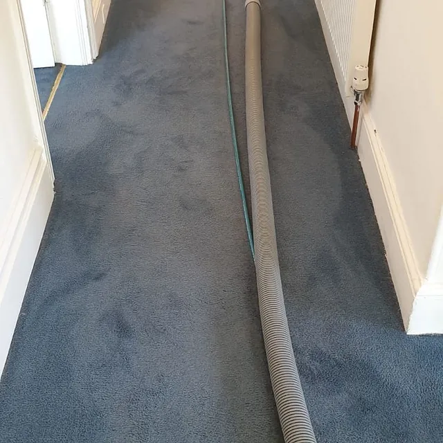 Commercial carpet cleaning Plymouth