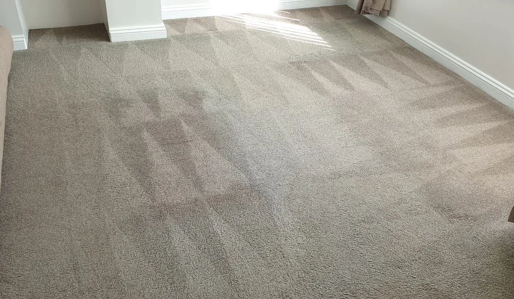 Domestic carpet cleaning plymouth
