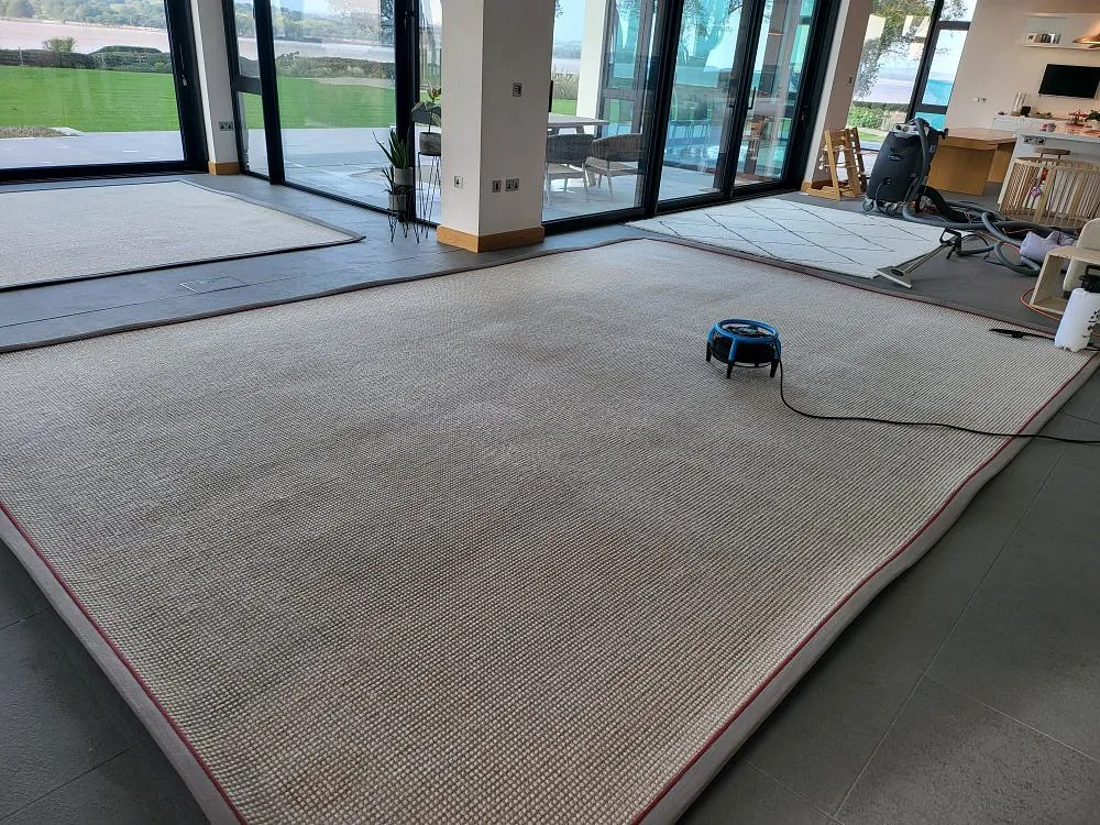 Domestic carpet cleaning plymouth