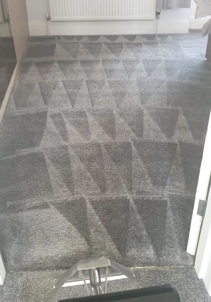 Domestic carpet cleaning plymouth