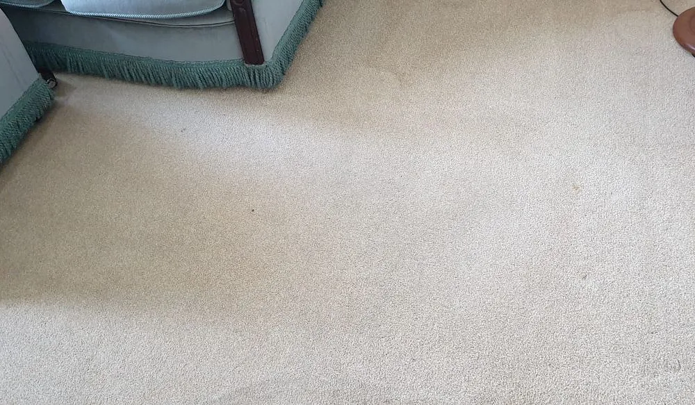 Domestic carpet cleaning plymouth