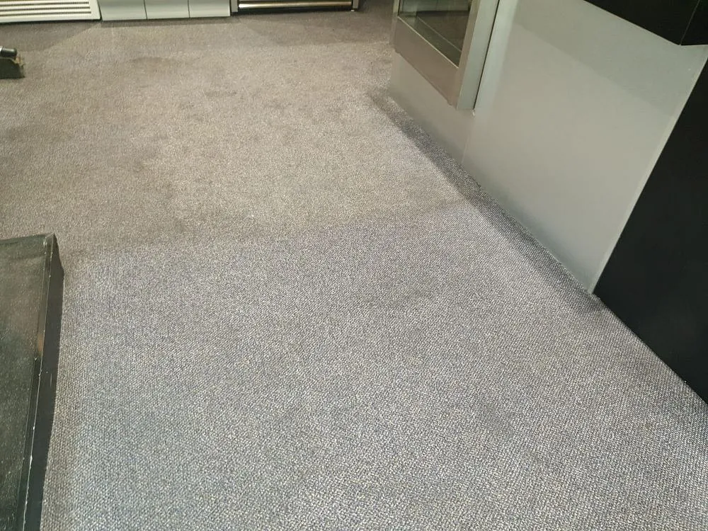 Domestic carpet cleaning plymouth