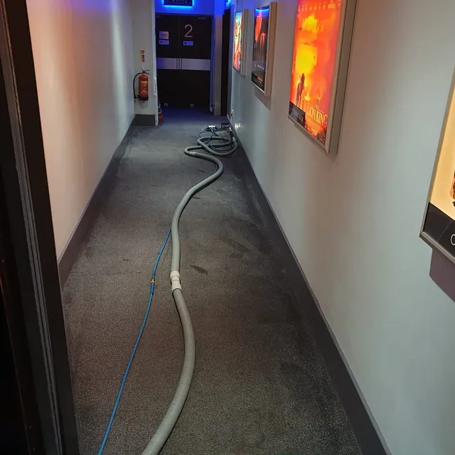Commercial carpet cleaning Plymouth