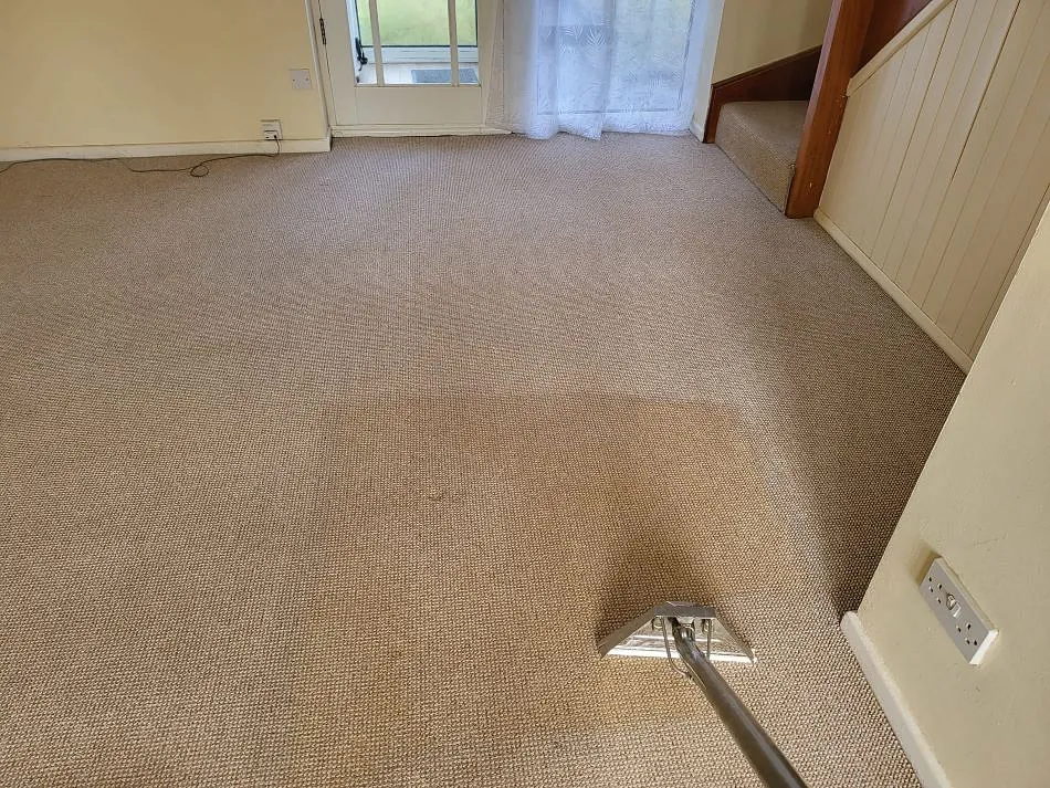 Domestic carpet cleaning plymouth