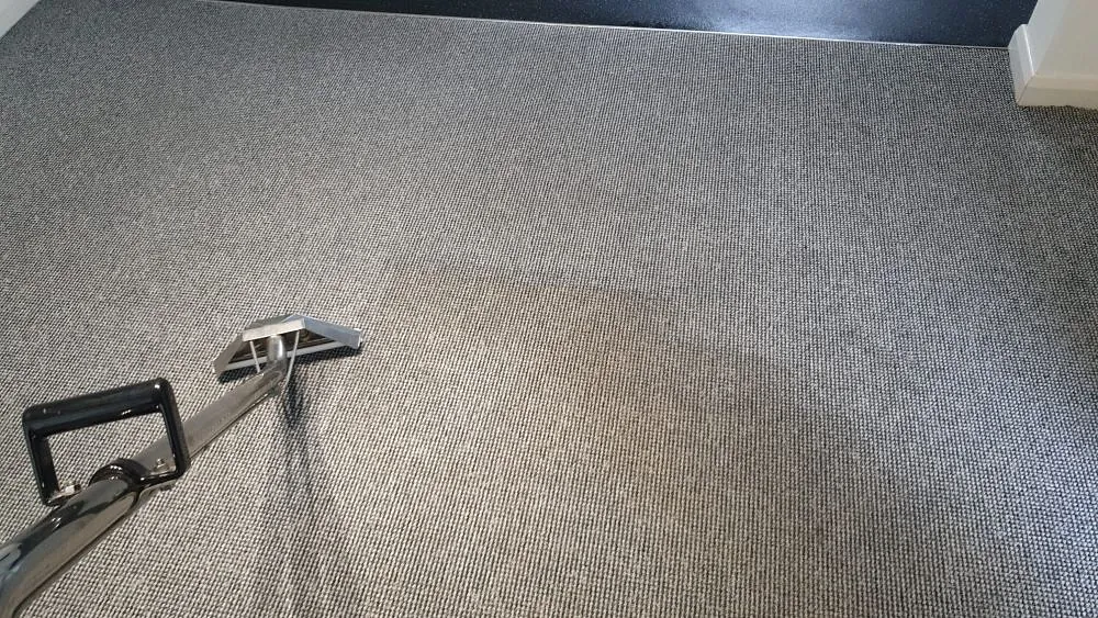 Domestic carpet cleaning plymouth