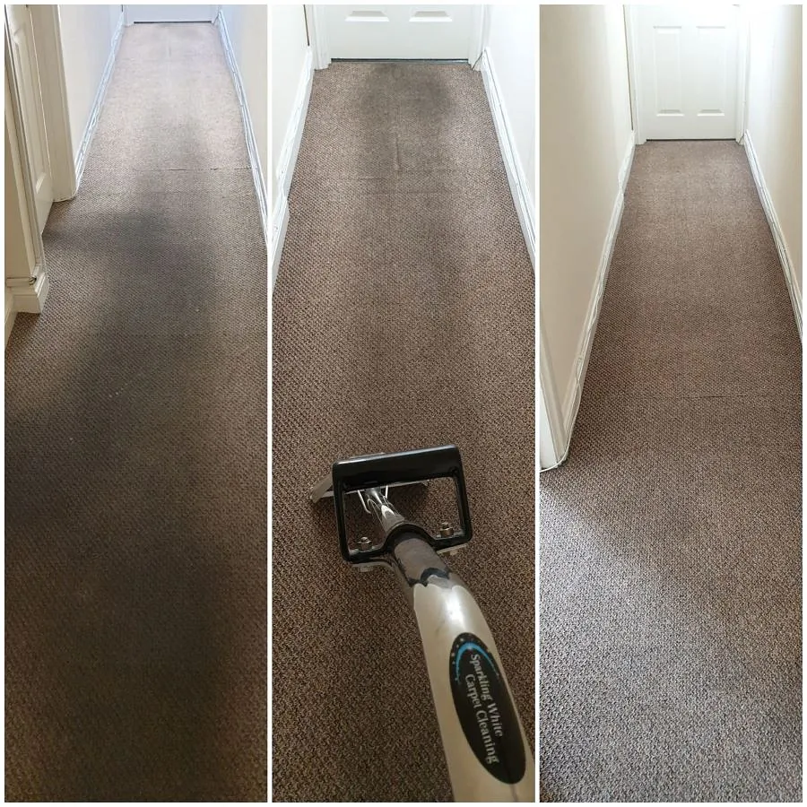 Domestic carpet cleaning plymouth