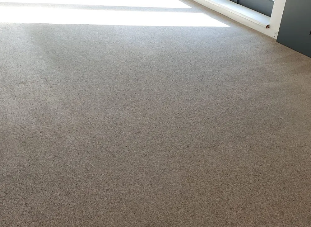 Domestic carpet cleaning plymouth