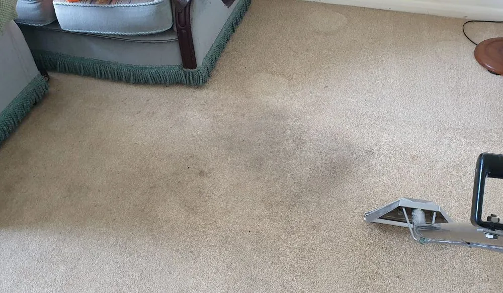 Domestic carpet cleaning plymouth