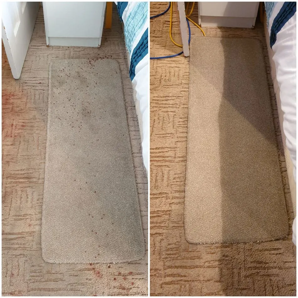 Domestic carpet cleaning plymouth