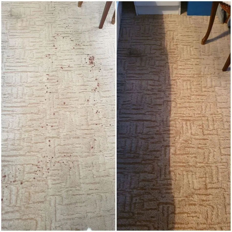 Domestic carpet cleaning plymouth