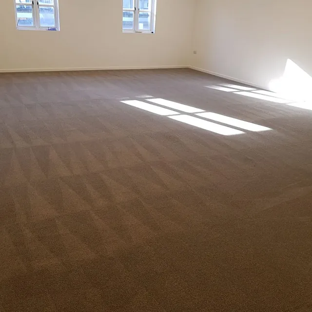 Commercial carpet cleaning Plymouth