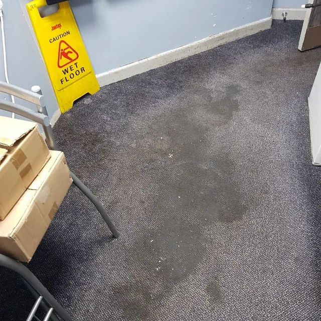 Commercial carpet cleaning Plymouth