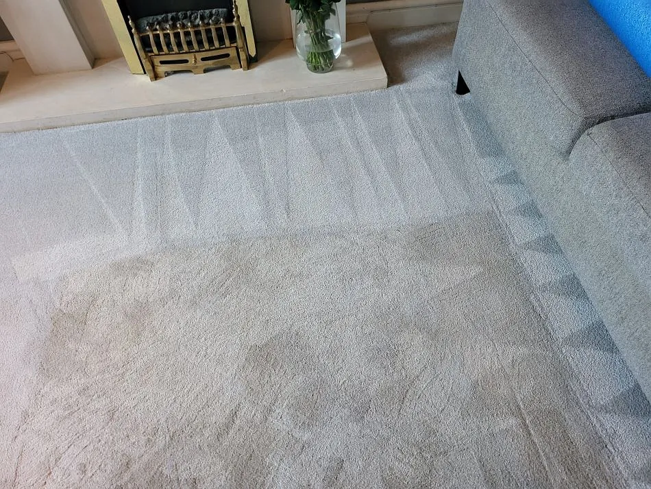 Domestic carpet cleaning plymouth
