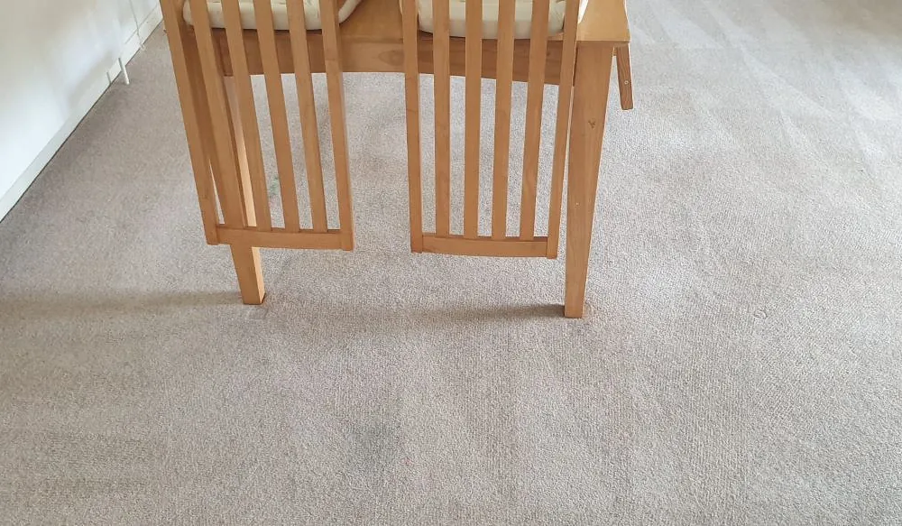 Domestic carpet cleaning plymouth