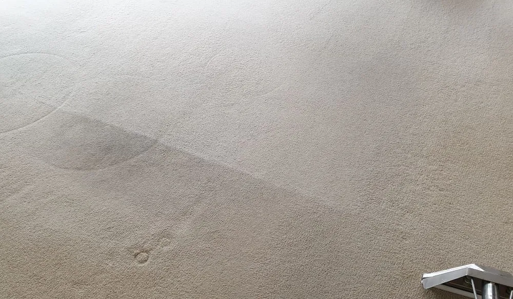 Domestic carpet cleaning plymouth