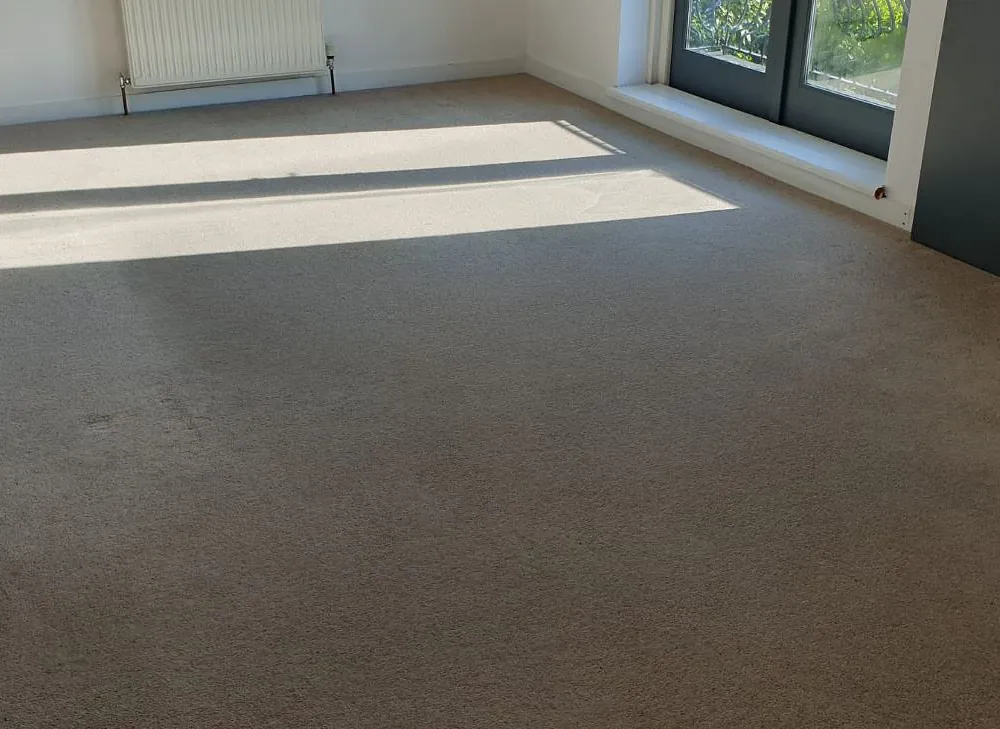 Domestic carpet cleaning plymouth