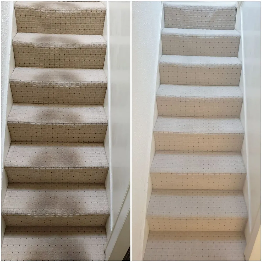 Domestic carpet cleaning plymouth