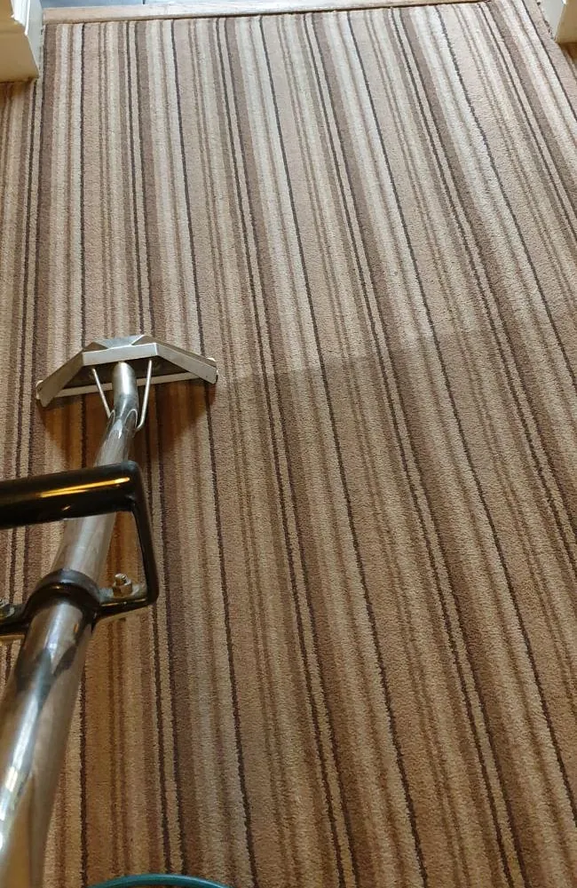 Domestic carpet cleaning plymouth